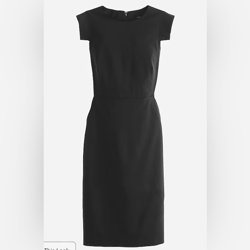 Jcrew resume dress